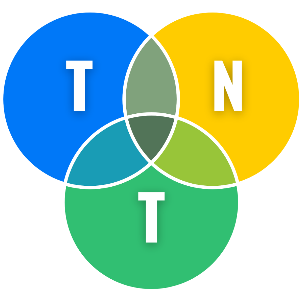 TNT — Ton site, Notoriété, Trafic